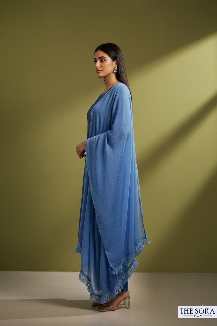 Cornflower Blue Pure Chikankari Premium Reyon Embroidered Handwork 