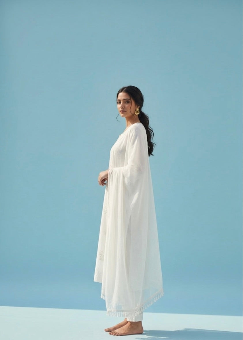 White Pure Chikankari Premium Reyon Embroidered Handwork 